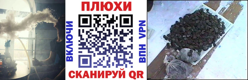 ГАШИШ индика сатива  где продают наркотики  Новозыбков 