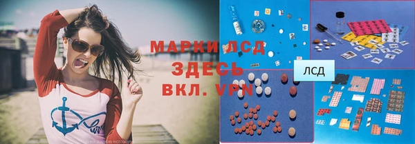 ГАЛЛЮЦИНОГЕННЫЕ ГРИБЫ Верея