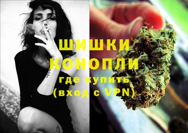 ГАЛЛЮЦИНОГЕННЫЕ ГРИБЫ Верея