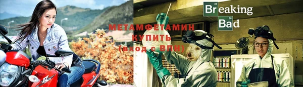 ГАЛЛЮЦИНОГЕННЫЕ ГРИБЫ Верея