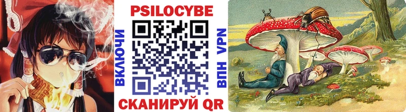 Галлюциногенные грибы Magic Shrooms  Новозыбков 